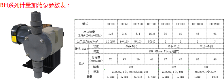 ＢＨ计量加药泵