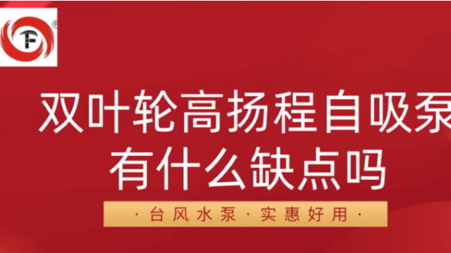 双叶轮高扬程自吸泵有什么缺点吗?