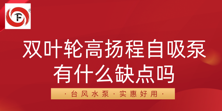 双叶轮高扬程自吸泵有什么缺点吗